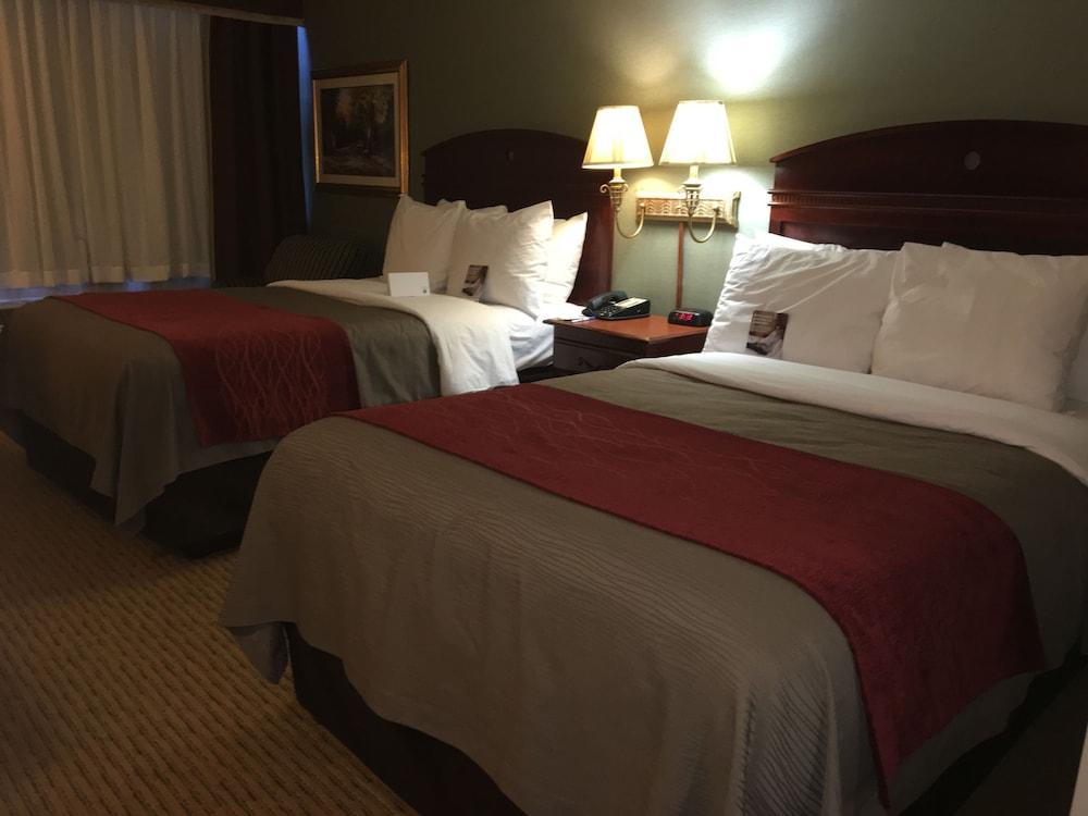Comfort Inn Springfield Eksteriør bilde