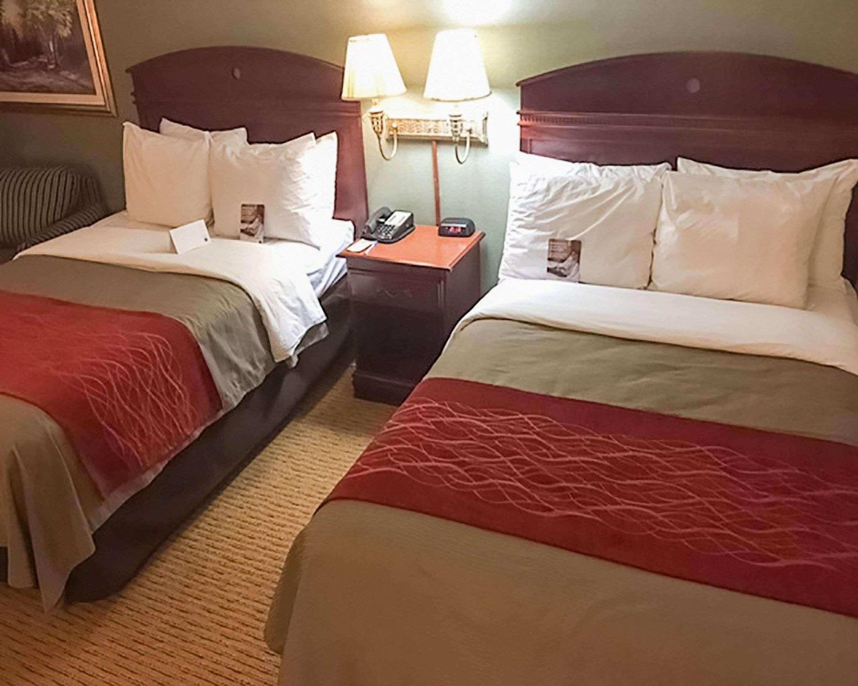 Comfort Inn Springfield Eksteriør bilde